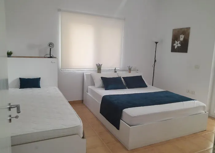 Lavender Golem (Tirana)